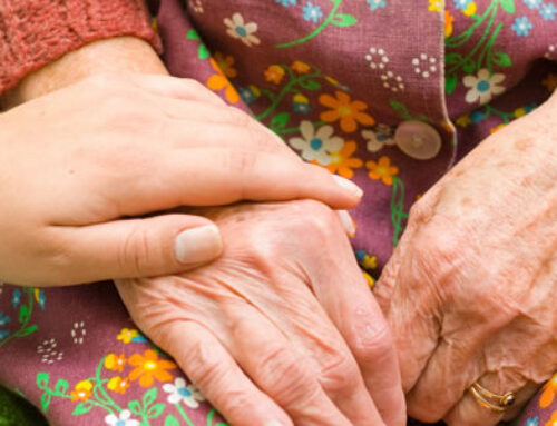 Derechos y obligaciones de los usuarios